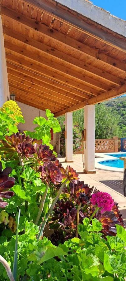 Bed and Breakfast Montana Retreat Alora Exterior foto